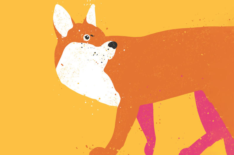 Illustration of a fox on a yellow background